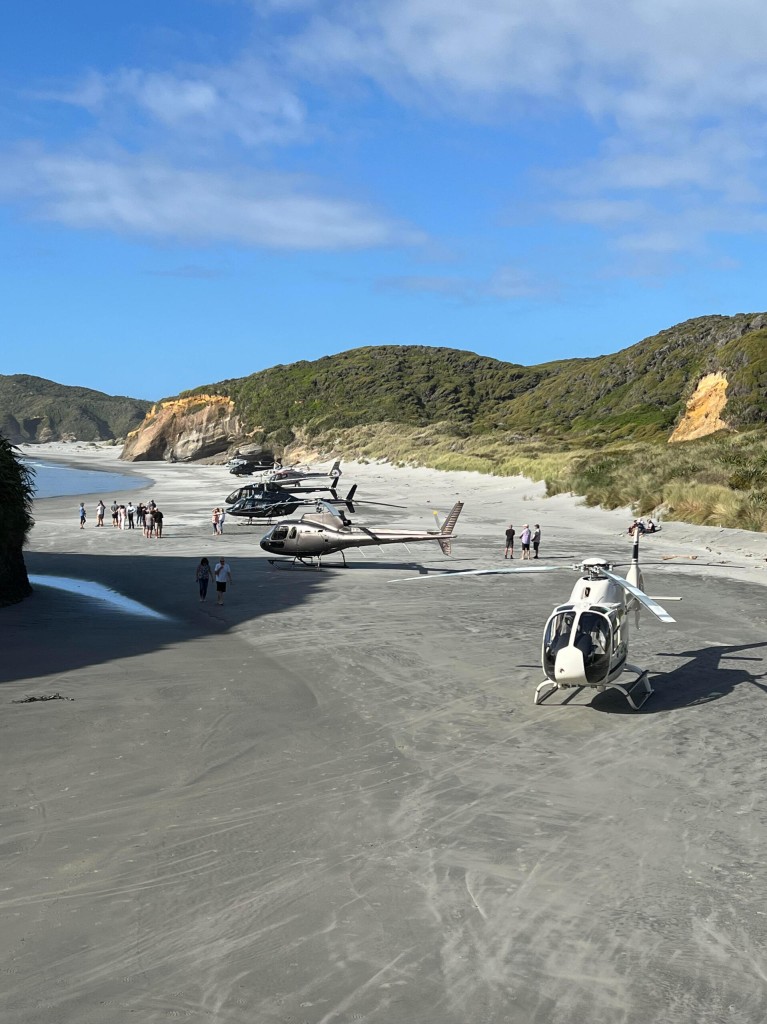 heli-safaris
